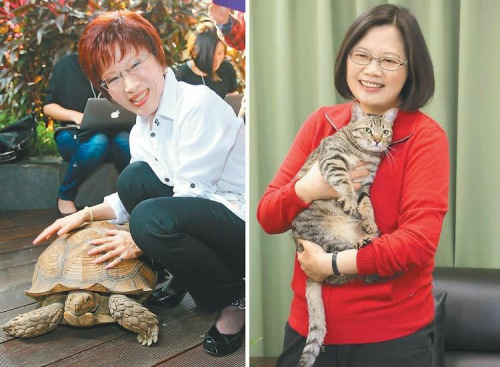 洪秀柱(左)收养“龟龟”，蔡英文(右)收养流浪猫“蔡想想”。(图：台湾《联合报》)